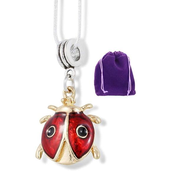 Ladybug Necklace - Good Luck Ladybug Charm Jewelry - Picture 1 of 4
